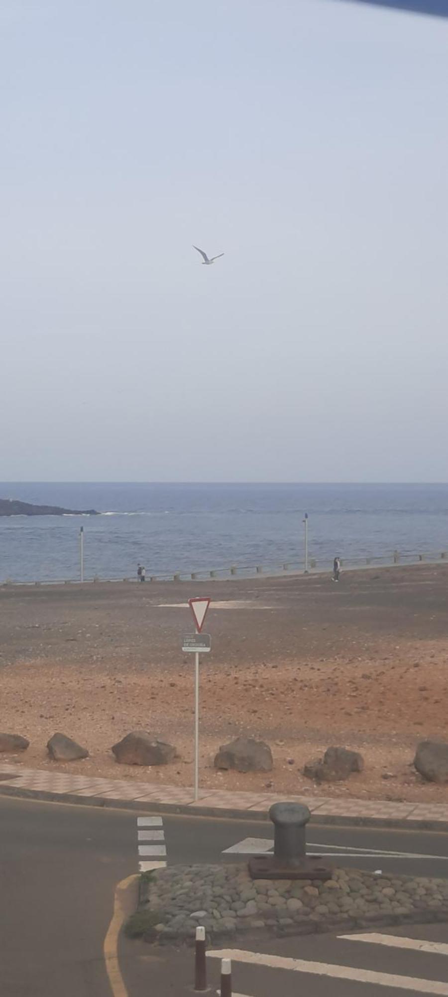 Casa Faro De Arinaga Apartment ภายนอก รูปภาพ
